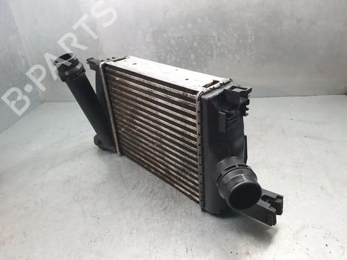 Intercooler DACIA LODGY (JS_) 1.5 dCi (JSMC, JSAF) | BP30881840M30 