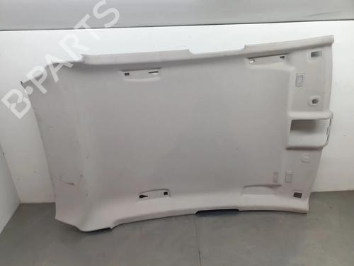 Used Interior roof RENAULT CLIO V (B7_) 1.5 Blue dCi 85 (B7AG) (86 hp) 31097649