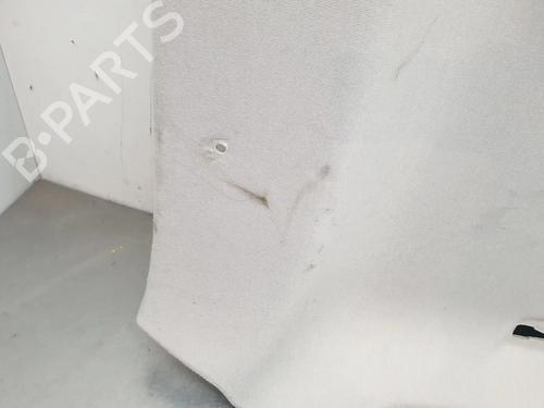 Interior roof RENAULT CLIO V (B7_) 1.5 Blue dCi 85 (B7AG) | BP31097649I12