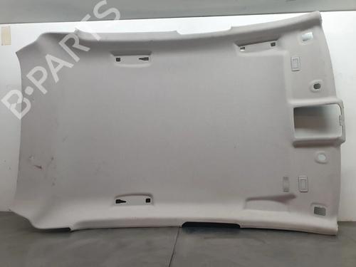 Interior roof RENAULT CLIO V (B7_) 1.5 Blue dCi 85 (B7AG) | BP31097649I12