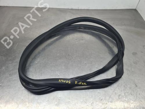 Gomma contorno porta RENAULT AUSTRAL TCe 130 (HGM2) (131 hp) 31114545