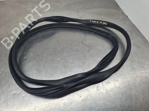 Used Rubber door seal RENAULT AUSTRAL TCe 130 (HGM2) (131 hp) 31114547