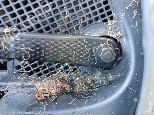 Used Front wiper motor RENAULT GRAND SCÉNIC III (JZ0/1_) 1.5 dCi (JZ09, JZ0D, JZ10, JZ14, JZ1G, JZ29, JZ2C) (110 hp) 31188965