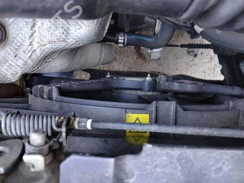 Used Radiator set FIAT 500 (312_) 1.2 (312AXA1A) (69 hp) 31193897