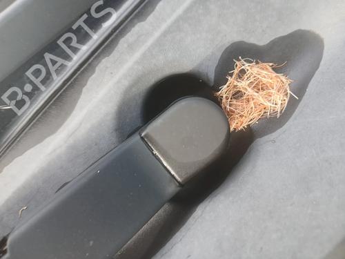 Used Front wiper motor TOYOTA AURIS Estate (_E18_) 1.8 Hybrid (ZWE186_, ZWE186R, ZWE186H) (136 hp) 31621344