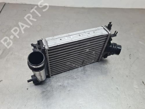 Intercooler DACIA SANDERO III 1.0 TCe 90 | BP31629651M30 