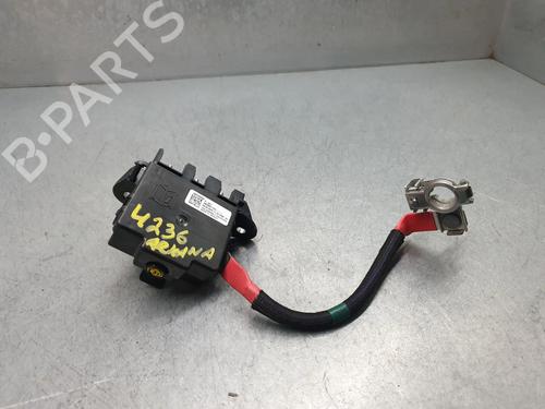Kabel RENAULT ARKANA I (LCM_, LDN_) [2019-2026]  31668201