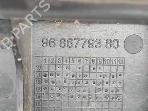 Andre CITROËN DS5 1.6 HDi 115 | BP31668208O1 