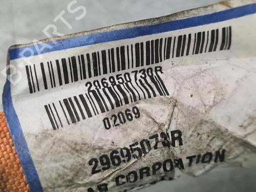 Ander RENAULT ZOE (BFM_) ZOE | BP31718611O1 