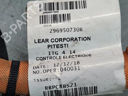 Ander RENAULT ZOE (BFM_) ZOE | BP31718611O1 