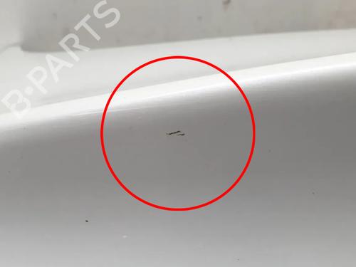 Tailgate TESLA MODEL 3 (5YJ3) EV AWD | BP31863146C6 