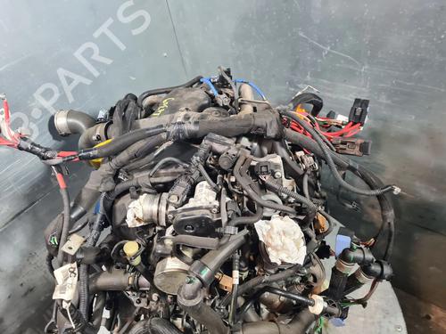 Engine RENAULT KANGOO Express (FW0/1_) 1.5 dCi 110 (FW06, FW12) | BP31902733M1 