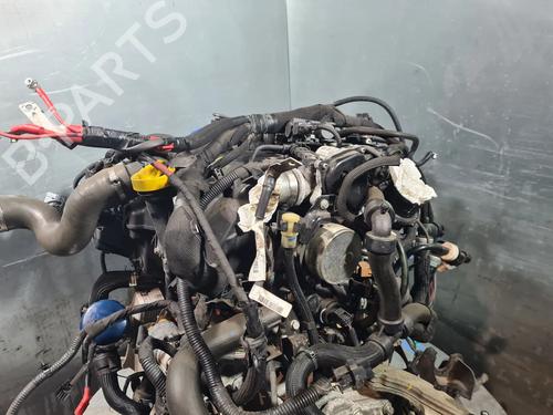 Engine RENAULT KANGOO Express (FW0/1_) 1.5 dCi 110 (FW06, FW12) | BP31902733M1 