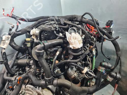 Engine RENAULT KANGOO Express (FW0/1_) 1.5 dCi 110 (FW06, FW12) | BP31902733M1 