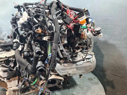 Engine RENAULT KANGOO Express (FW0/1_) 1.5 dCi 110 (FW06, FW12) | BP31902733M1 