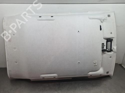 Used Interior roof DACIA SANDERO III 1.0 TCe 90 (91 hp) 31930194