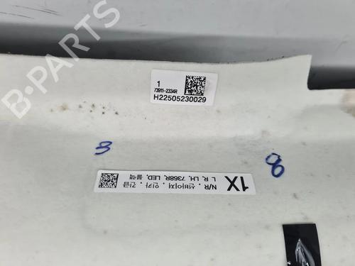 Interiør tag RENAULT ARKANA I (LCM_, LDN_)  | BP31930196I12 