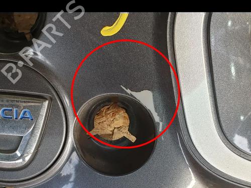 Other DACIA SPRING EV (B6M1) | BP31943924O1