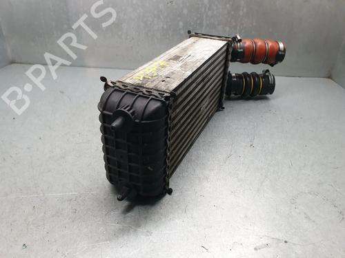 Intercooler CITROËN C3 III (SX) 1.5 BlueHDi 100 (SXYHYP, SXYHTU) | BP31959665M30 