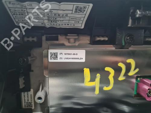 Display monitor TESLA MODEL 3 (5YJ3) EV AWD | BP31969909C48 