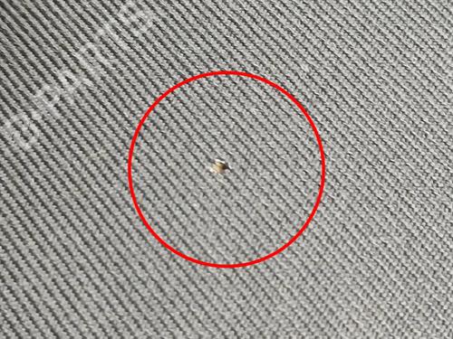 Other DACIA SANDERO II TCe 90 (B8M1, B8MA, B8AC) | BP32075307O1 