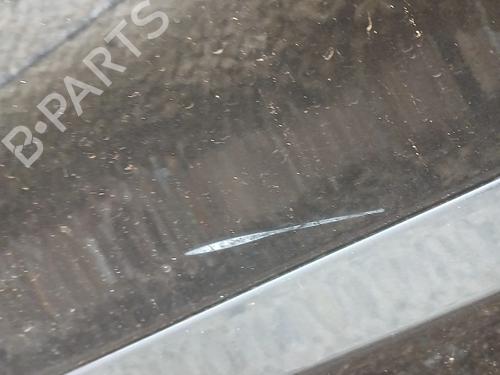 Left rear door RENAULT SCÉNIC III (JZ0/1_) 1.5 dCi | BP32085139C4