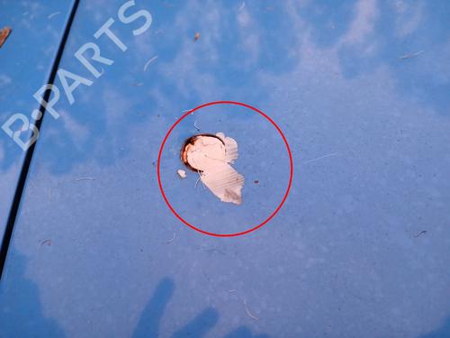 Other RENAULT TWINGO II (CN0_) 1.5 dCi 75 | BP32220738O1 - Image 3