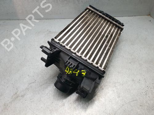 Intercooler NISSAN MICRA V (K14) 1.0 IG-T | BP32233430M30 