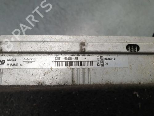  - Image 9