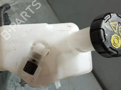 brake-master-cylinder-dacia-sandero-iii-2021-32305415 main image