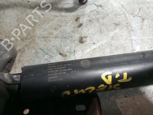 Tailgate lift support ALFA ROMEO STELVIO (949_) 2.2 D (949.AXD1A) | BP32347165C138