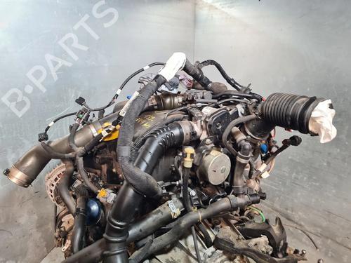 Engine RENAULT MEGANE IV Hatchback (B9A/M/N_) 1.5 dCi 90 (B9A1) | BP32442315M1 