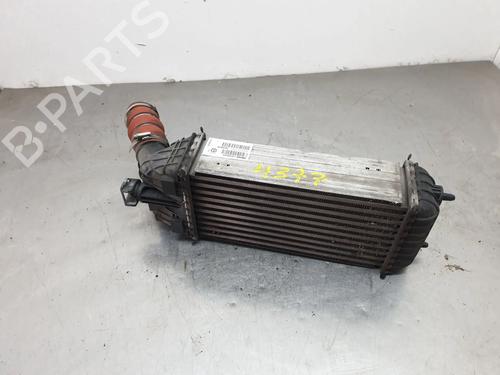 intercooler-citroen-c4-cactus-2014-32455347 main image
