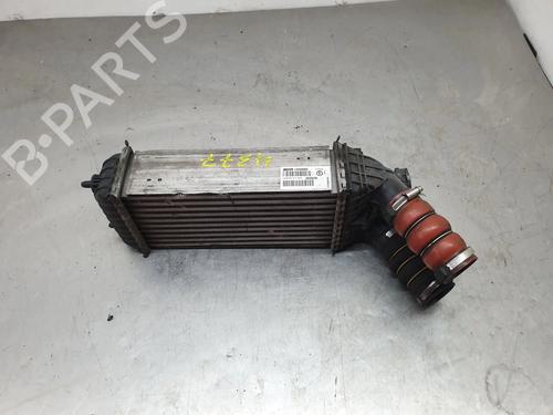 Intercooler CITROËN C4 CACTUS 1.6 BlueHDi 100 | BP32455347M30