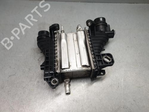 Intercooler RENAULT KANGOO Express (FW0/1_) 1.5 dCi 95 (FW16) | BP32469470M30