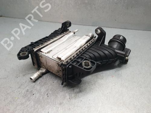 Intercooler RENAULT KANGOO Express (FW0/1_) 1.5 dCi 95 (FW16) | BP32469470M30