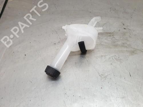 expansion-tank-renault-arkana-i-lcm_-ldn_-2019-32480722 main image