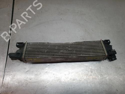 Intercooler RENAULT TRAFIC III Van (FG_) | BP32502960M30