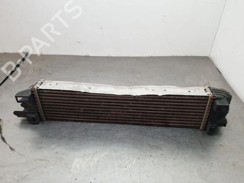 Intercooler RENAULT TRAFIC III Van (FG_) | BP32502960M30