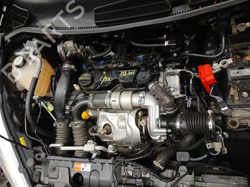 Used Engine FORD FIESTA VI (CB1, CCN) 1.5 TDCi (75 hp) 32523763