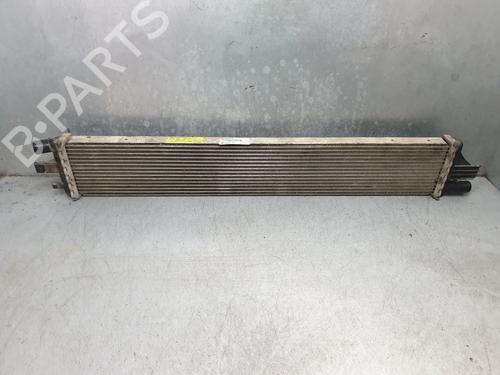 Radiatore olio RENAULT MASTER III Van (FV) 2.3 dCi 135 FWD (FV0N, FV08, FV06, FV00, FV1S) (136 hp) 32786785