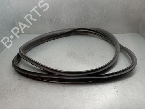 Gummiliste TESLA MODEL Y (5YJY) EV All-wheel Drive | BP32984065C142 - Image 3