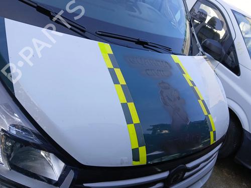 Capot FIAT TALENTO Bus (296_) 1.6 D (125 hp) 32984043