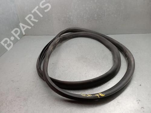 Gummiliste RENAULT ARKANA I (LCM_, LDN_) [2019-2026]  32984078