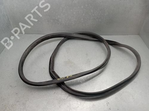 Gummiliste RENAULT ARKANA I (LCM_, LDN_) [2019-2026]  32984079