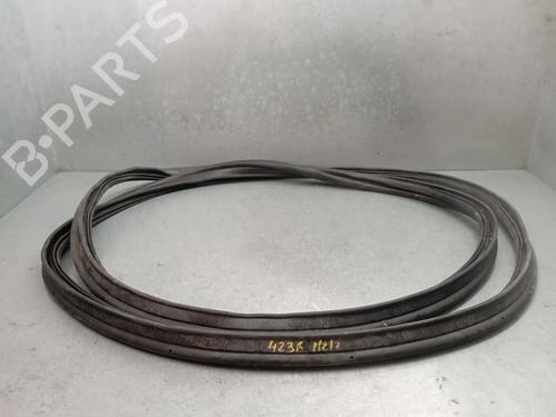 rubber-door-seal-renault-arkana-i-lcm_-ldn_-2019-32984083 main image
