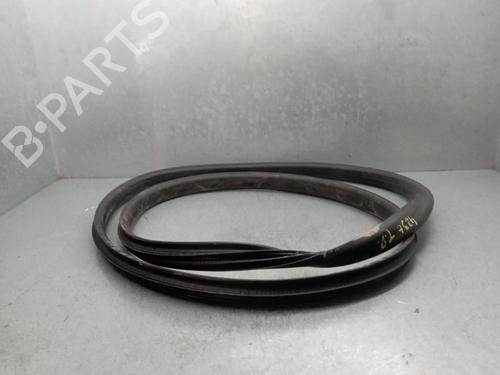 Gummiliste RENAULT ARKANA I (LCM_, LDN_) [2019-2026]  32990414