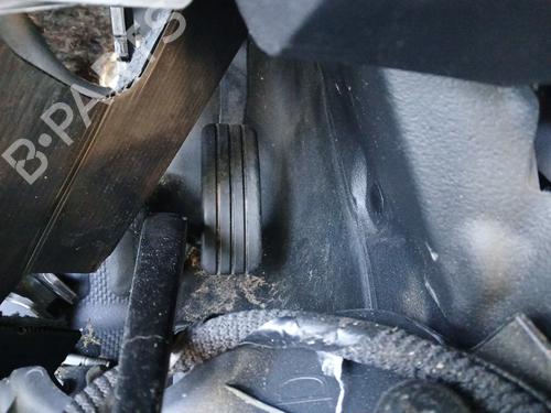 Pedal RENAULT EXPRESS Box Body/MPV 1.5 Blue dCi 95 (F6AB) (95 hp) 33186933