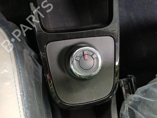 gear-lever-dacia-spring-2020-33245134 main image