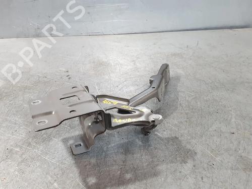 Used Hinge/Door check strap Hinge/Door check strap DACIA SANDERO III 1.0 TCe 100 ECO-G (101 hp) 33656048 33656048